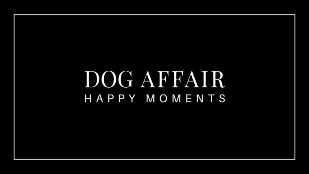 dog-affair