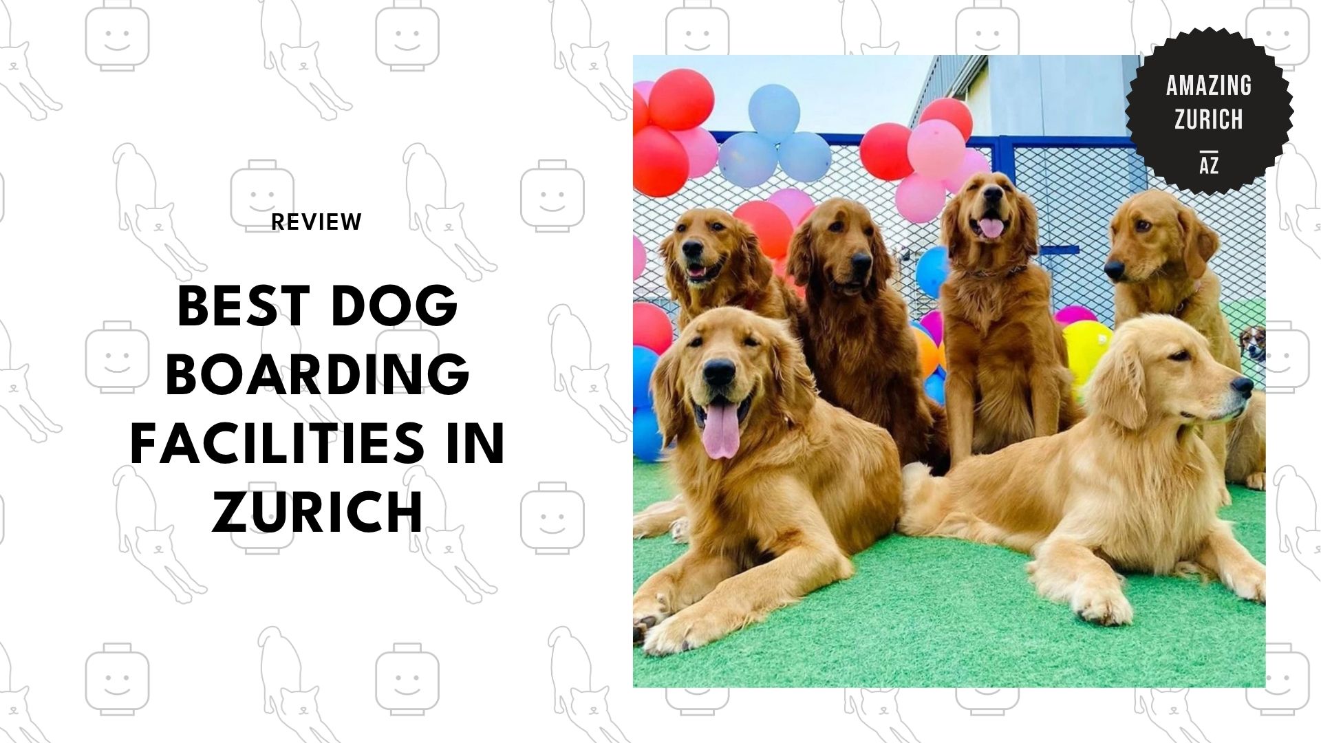 dog-boarding-facility