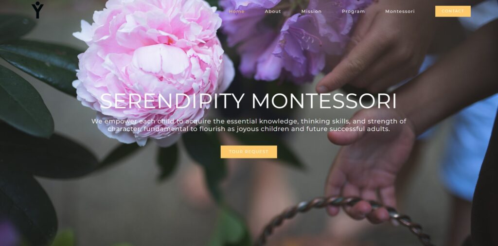 serendipity education