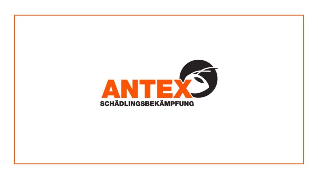 antex-schädlingsbekämpfung