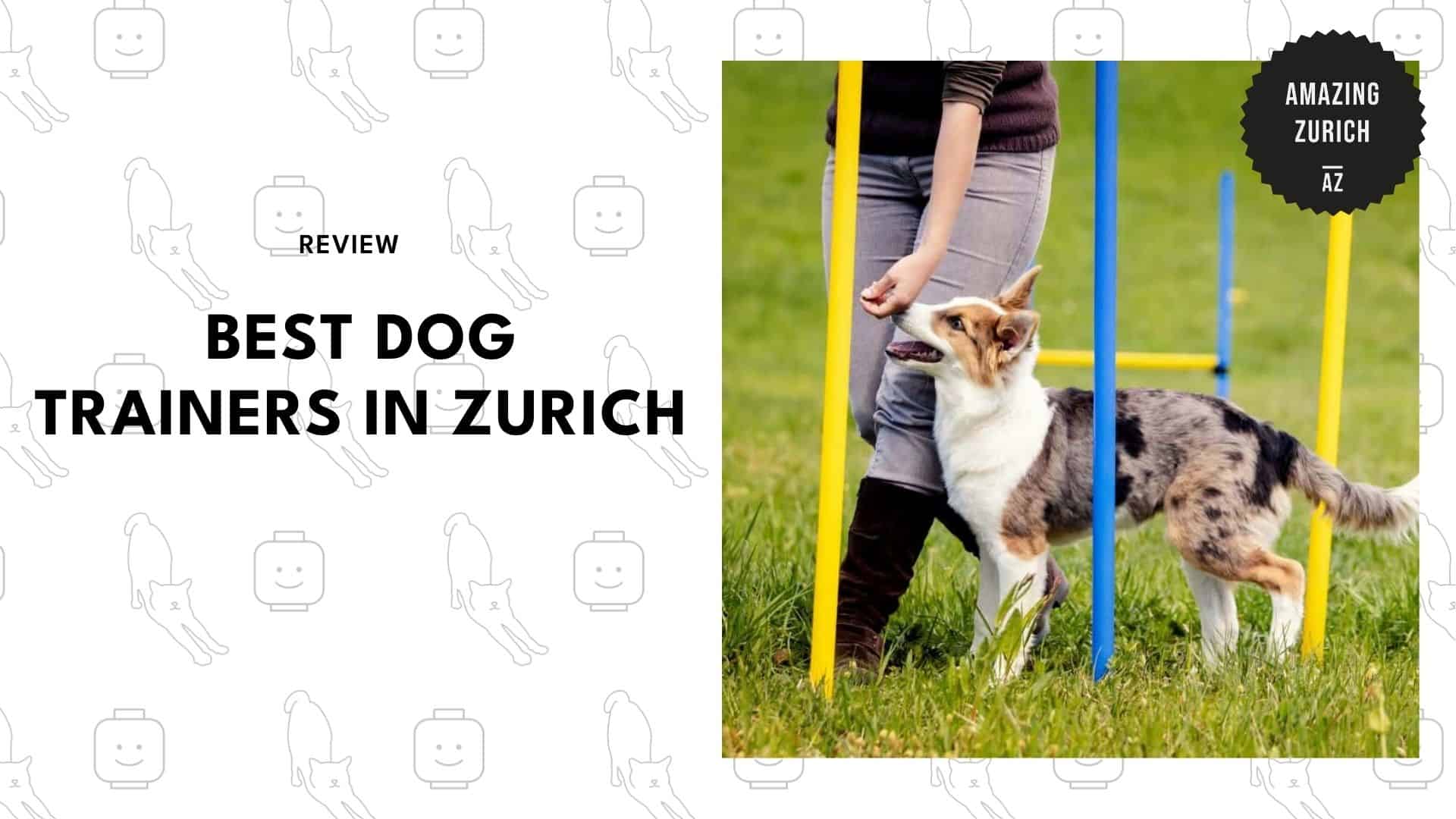 best-dog-trainers-zurich