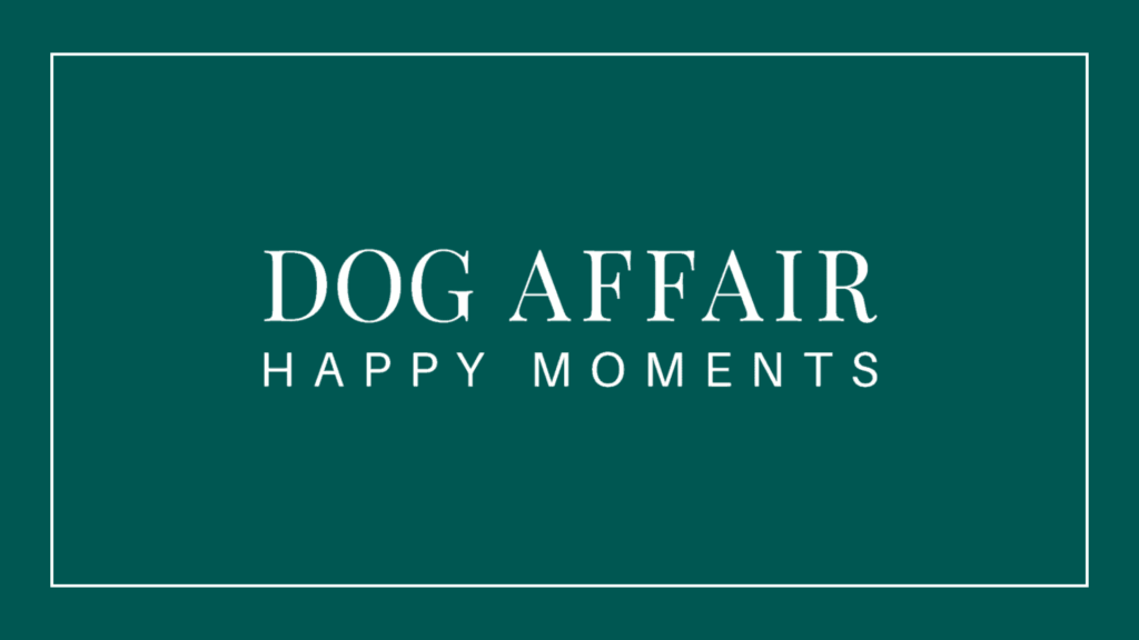 dog-affair