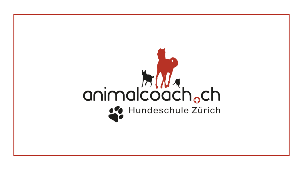 hundeschule-animal-coach