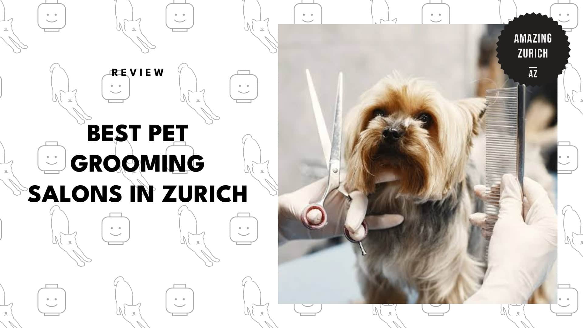 best-pet-grooming-salons-zurich