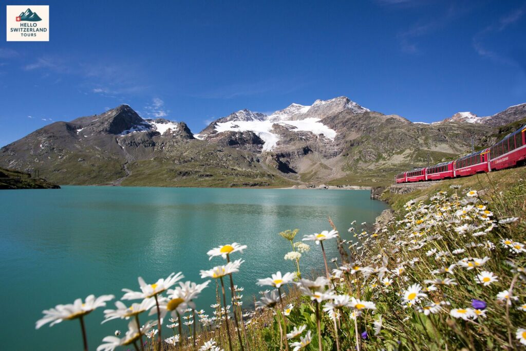 Hello Switzerland Tours